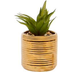 monstera t shirt Monstera