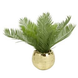 monstera monkey leaf water plant Monstera Adansonii | Monkey Mask Plant | 8" Pot | Easy Care Houseplant