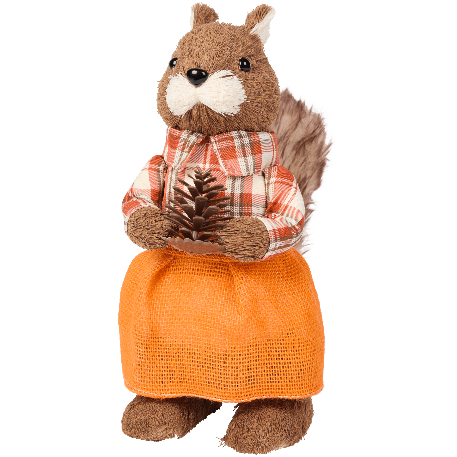 Eekhoorn of Schotse Hooglander