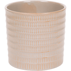 cactus pot soil Cactus and Succulent Soil Mix: The Ultimate Pro Mix Formula 12 Quarts