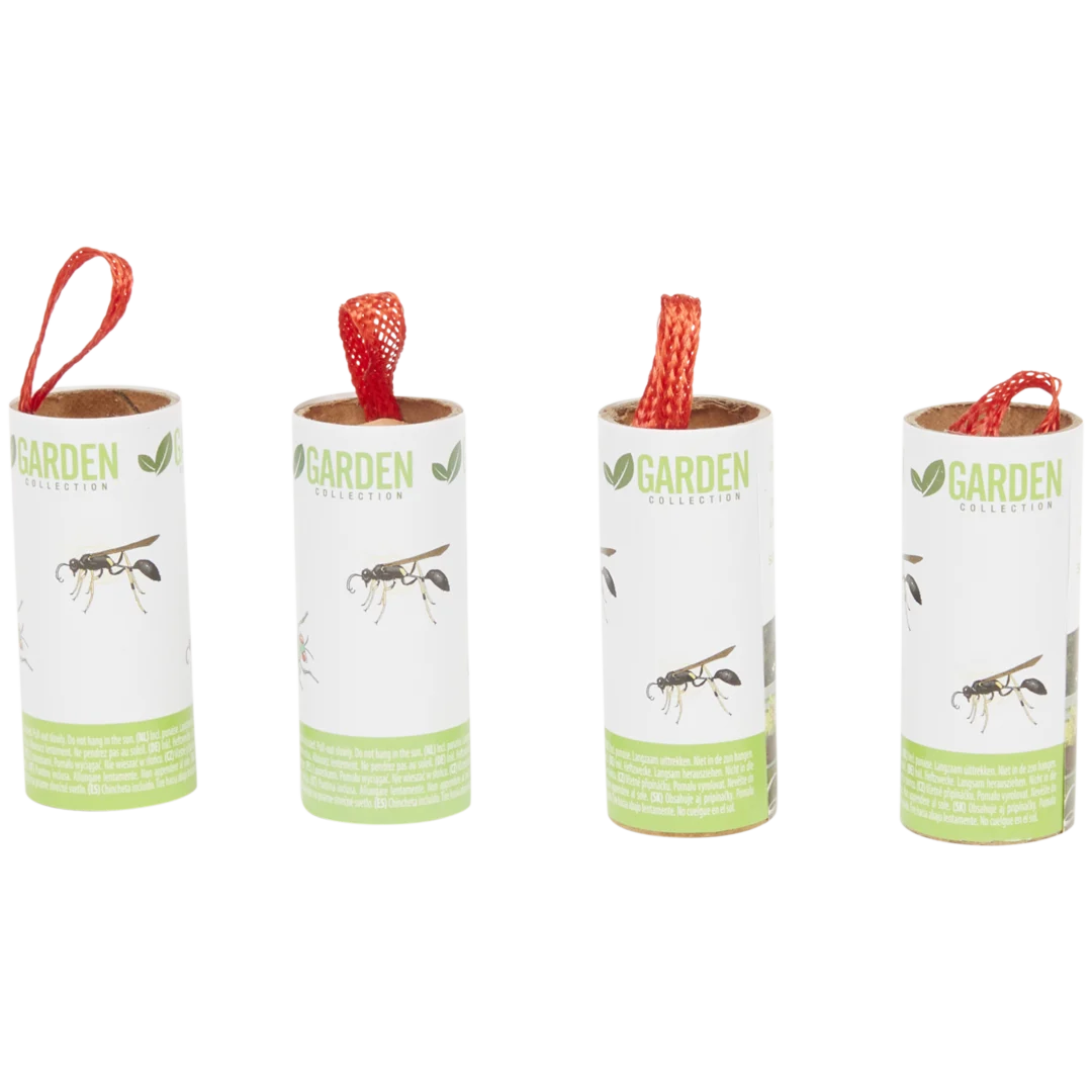 Attrape-mouche Garden Collection 1