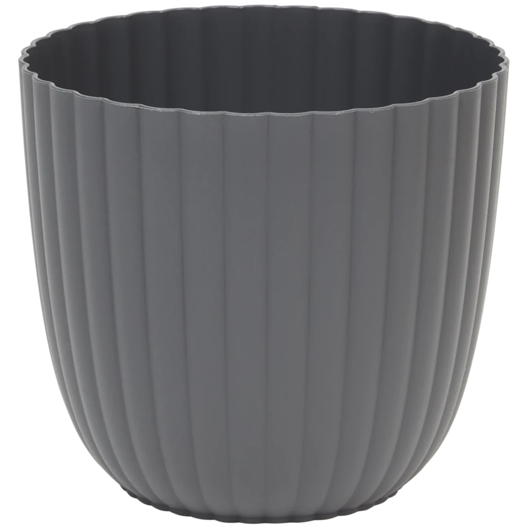 Vaso Sevilla 3
