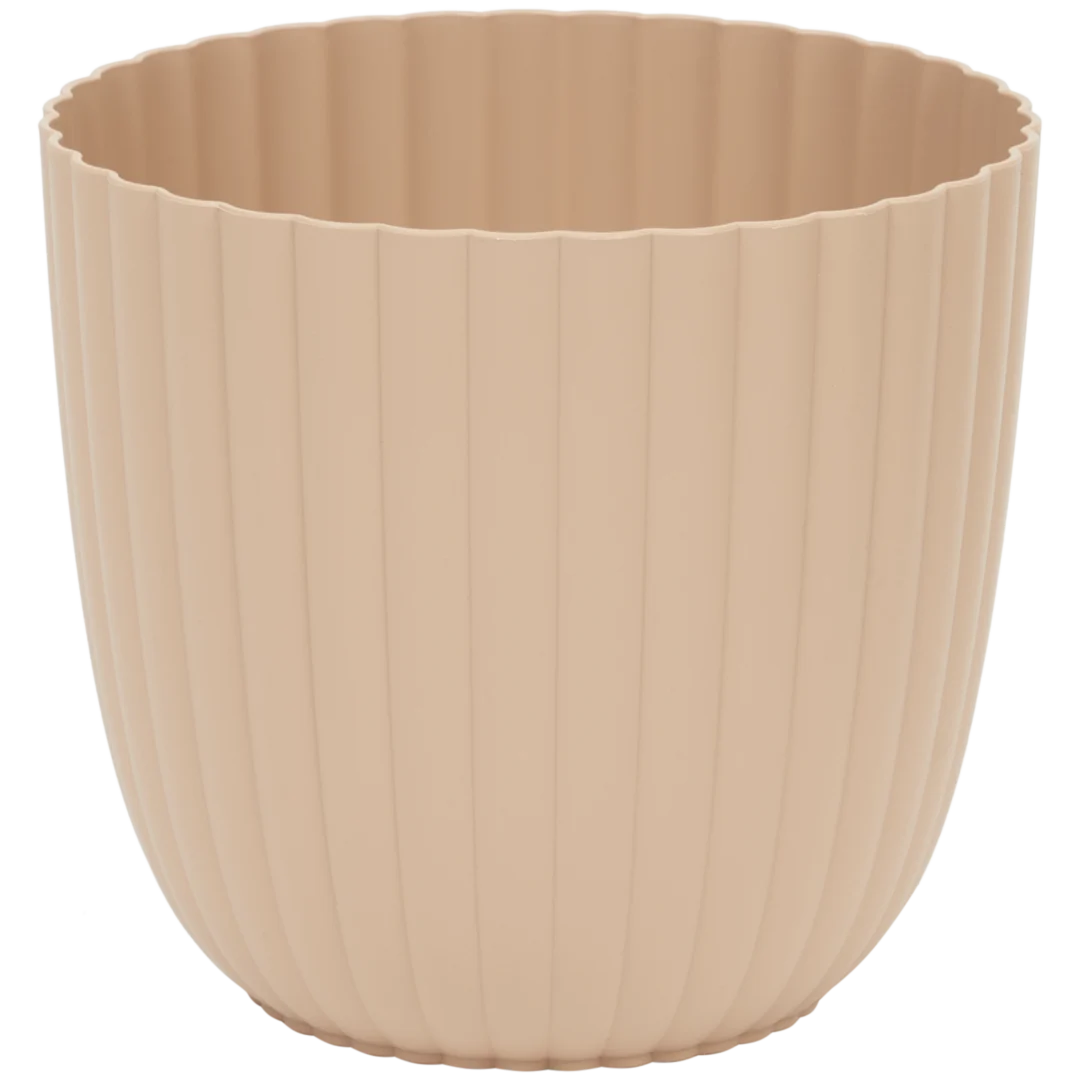 Vaso Sevilla 2