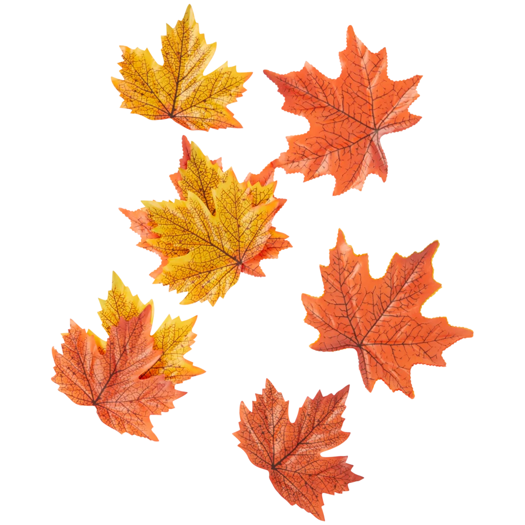 Feuilles d'automne