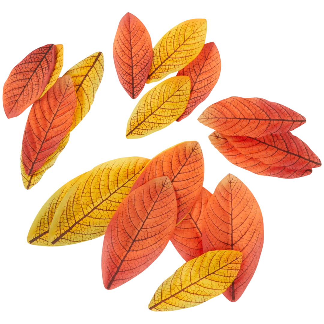 Feuilles d'automne