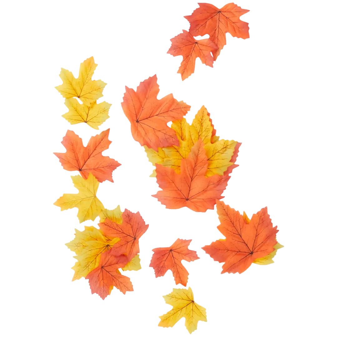 Feuilles d'automne
