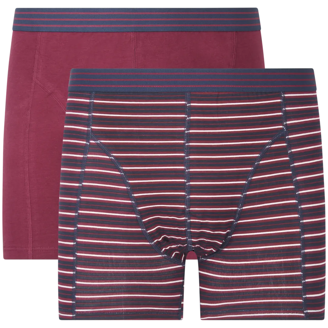 Boxers Ziki
