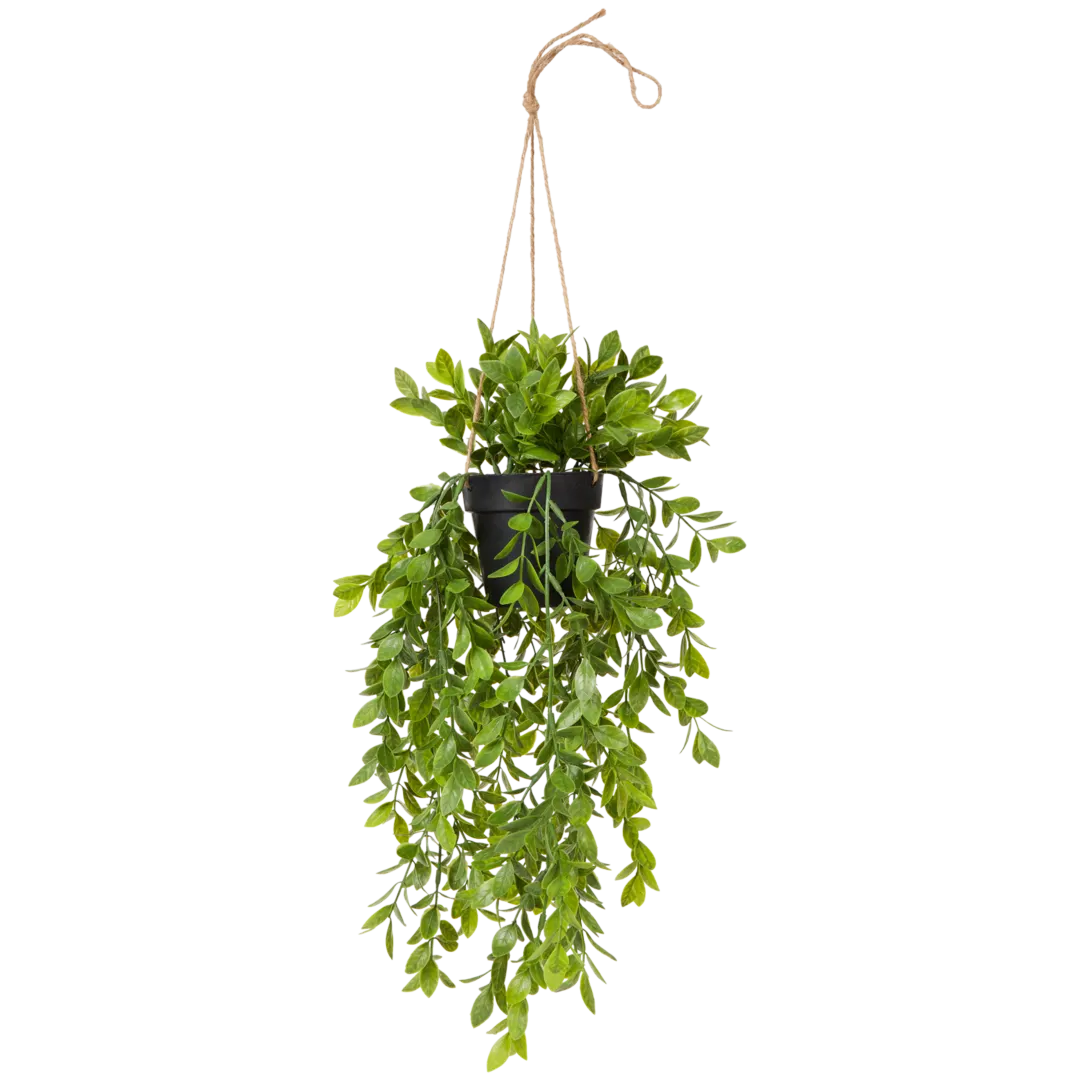 Planta artificial suspensa