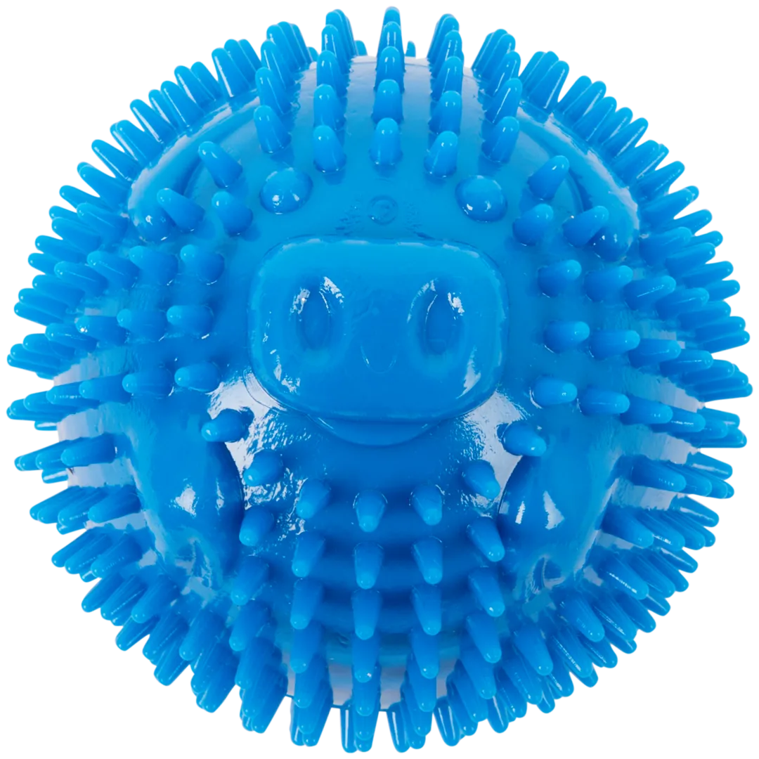 Bola para cães Beasty