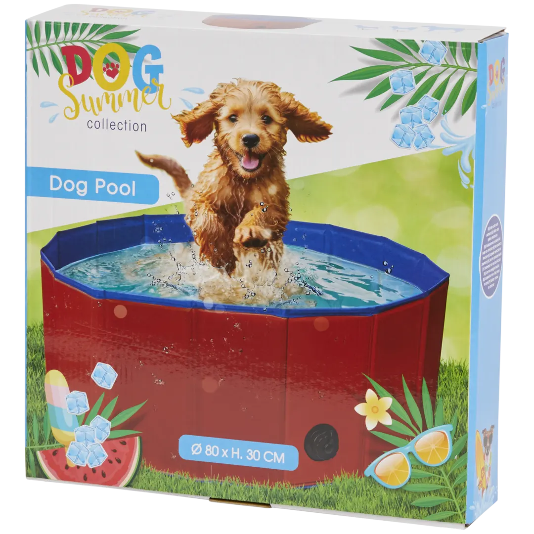Piscine pour chien 3