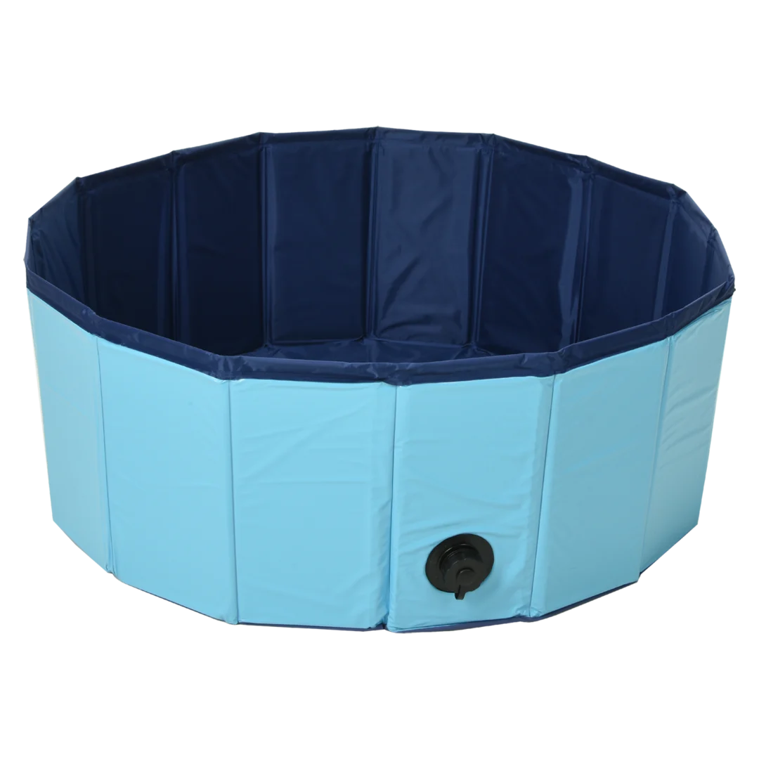 Piscine pour chien 1