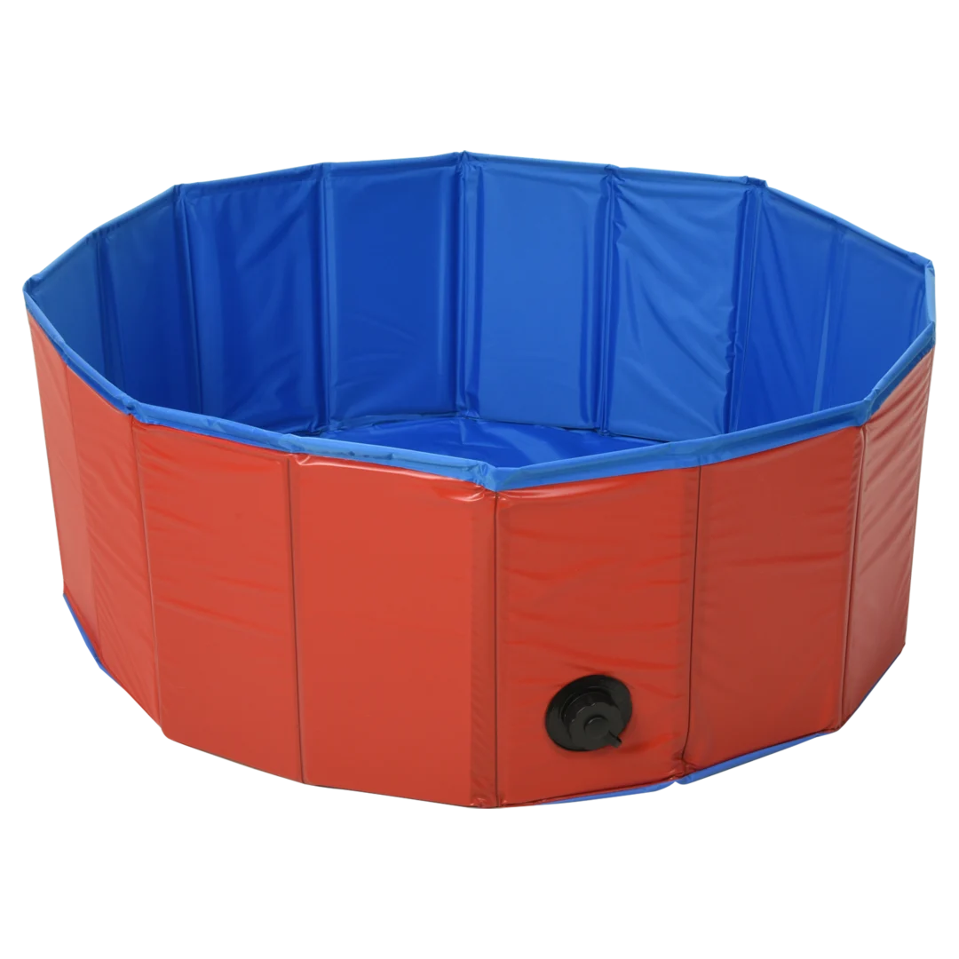 Piscine pour chien 2