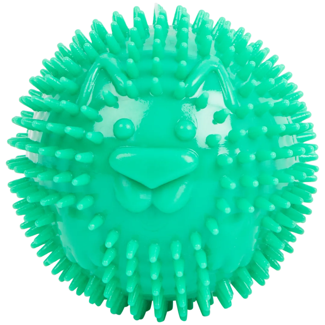 Bola para cães Beasty 4