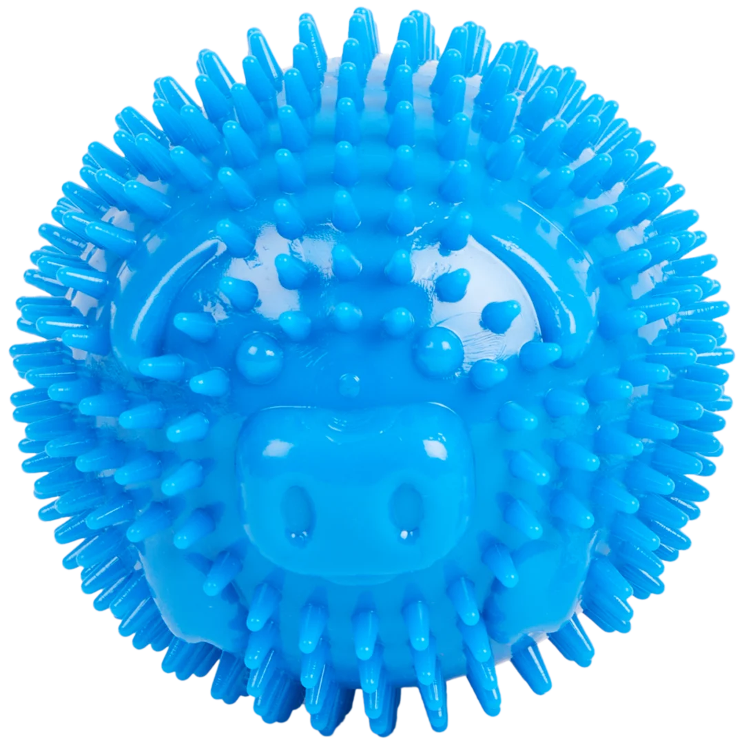 Bola para cães Beasty 1