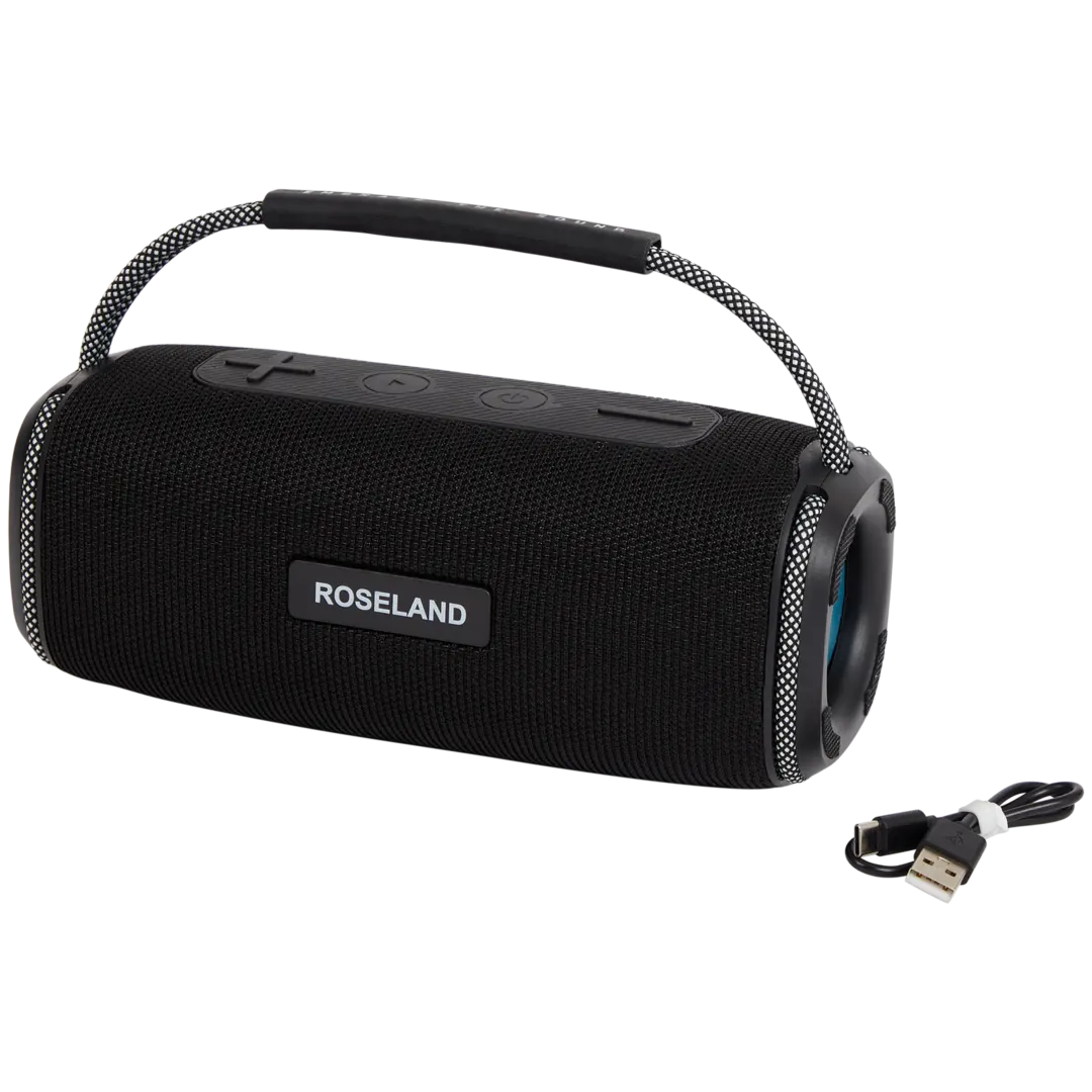 Coluna de som Roseland RS-510