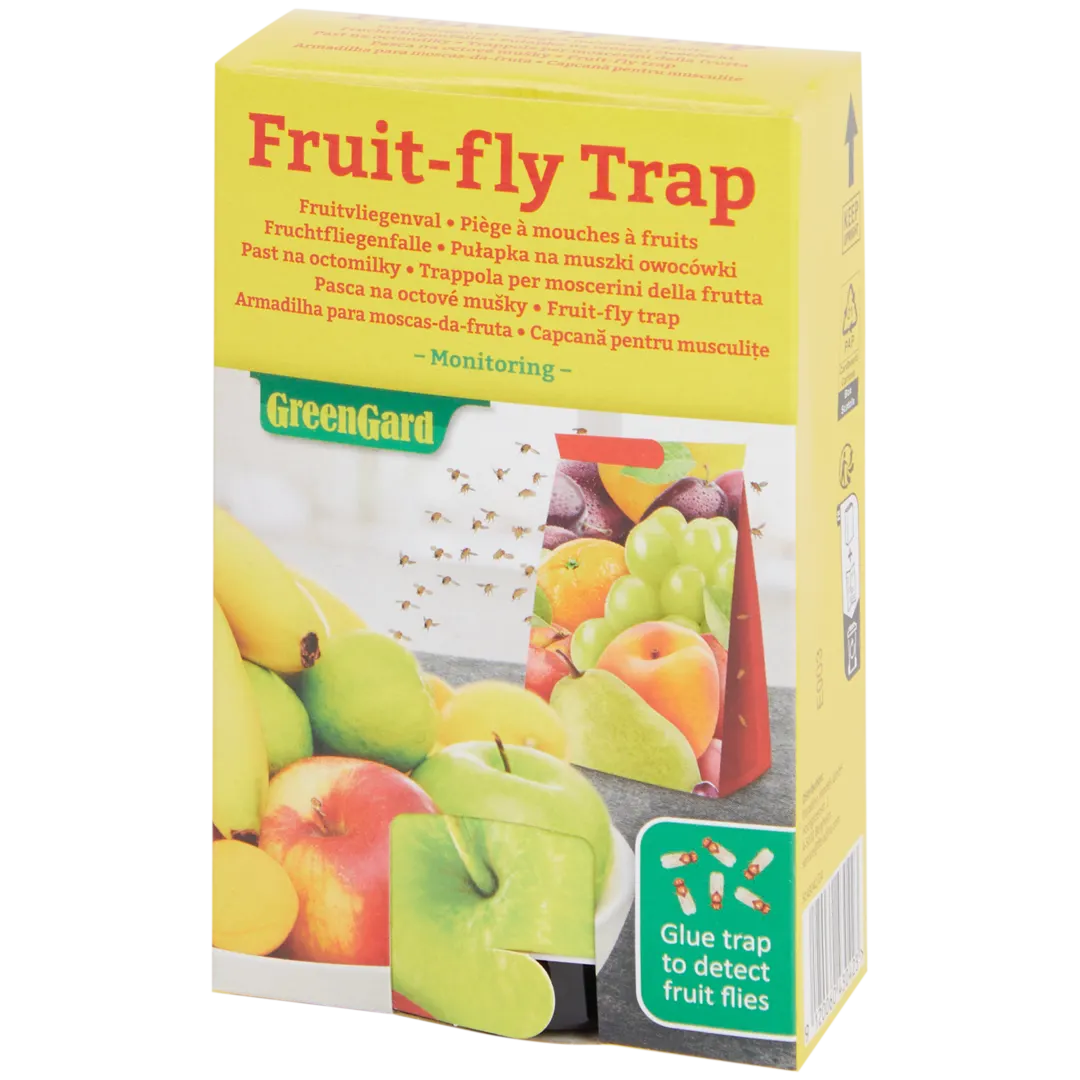 Piège à mouches à fruits 1