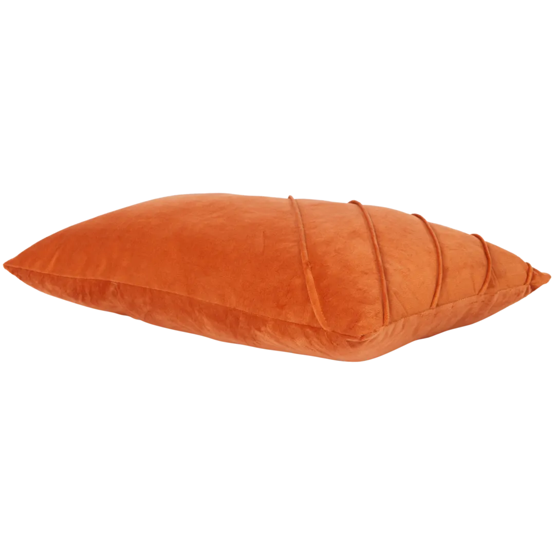 Almofada de veludo 2