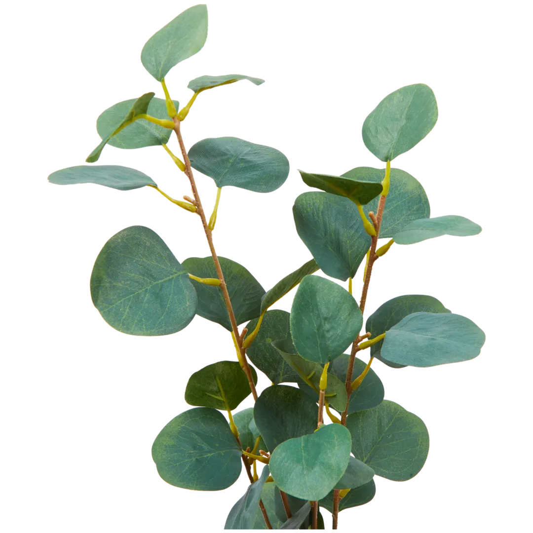 Eucalipto artificial com caule Excellent Flowers