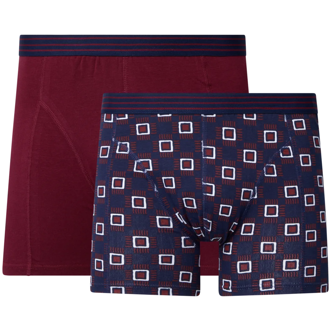 Boxers Ziki