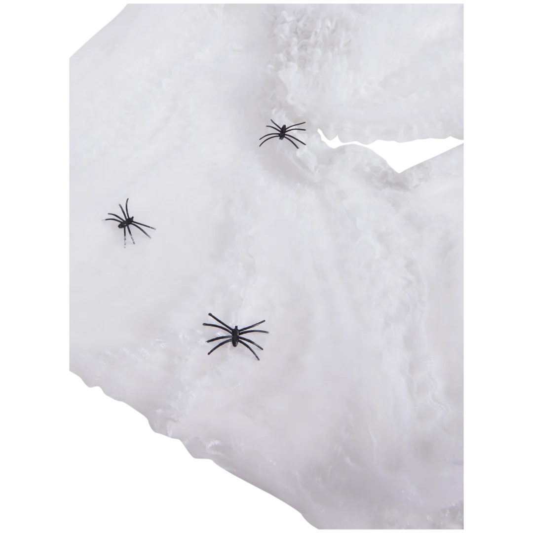 Decorațiune pânză de păianjen 2