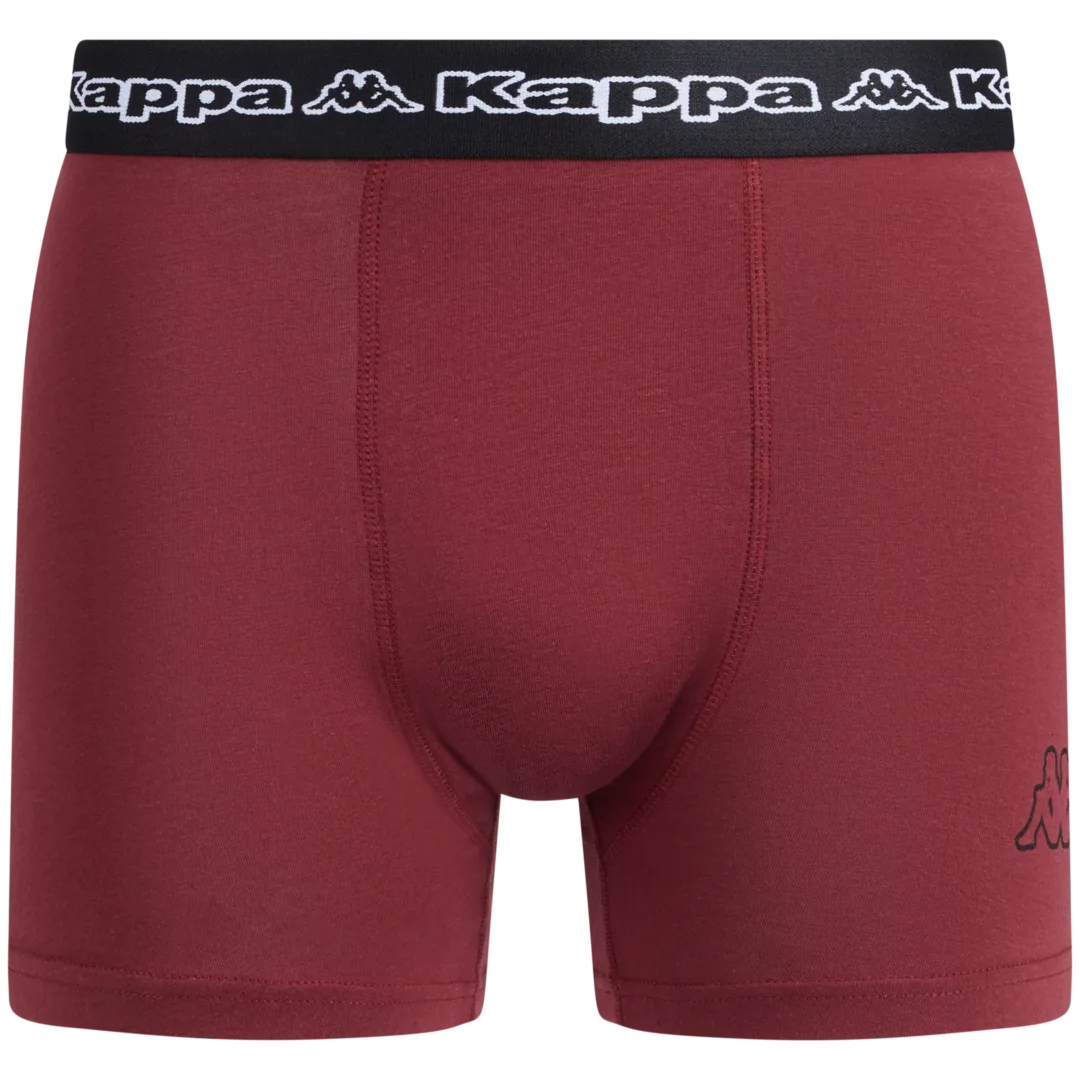 Boxer Kappa 1