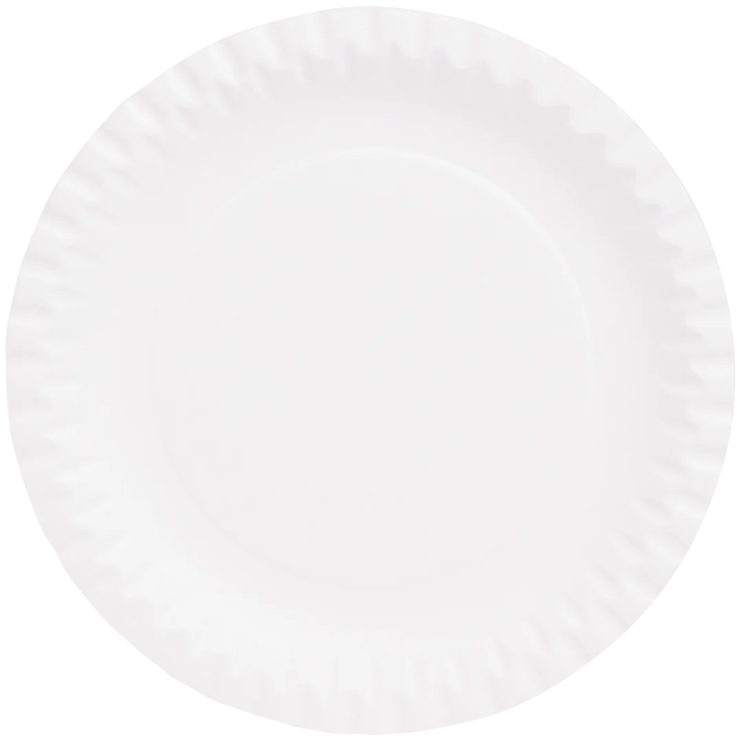 Assiettes en carton
