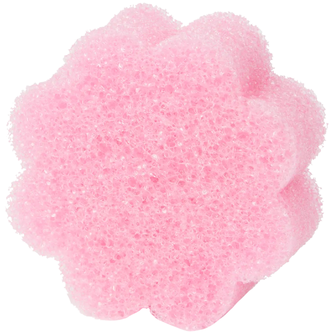 Spugna CleanRite Super Scrubby 1