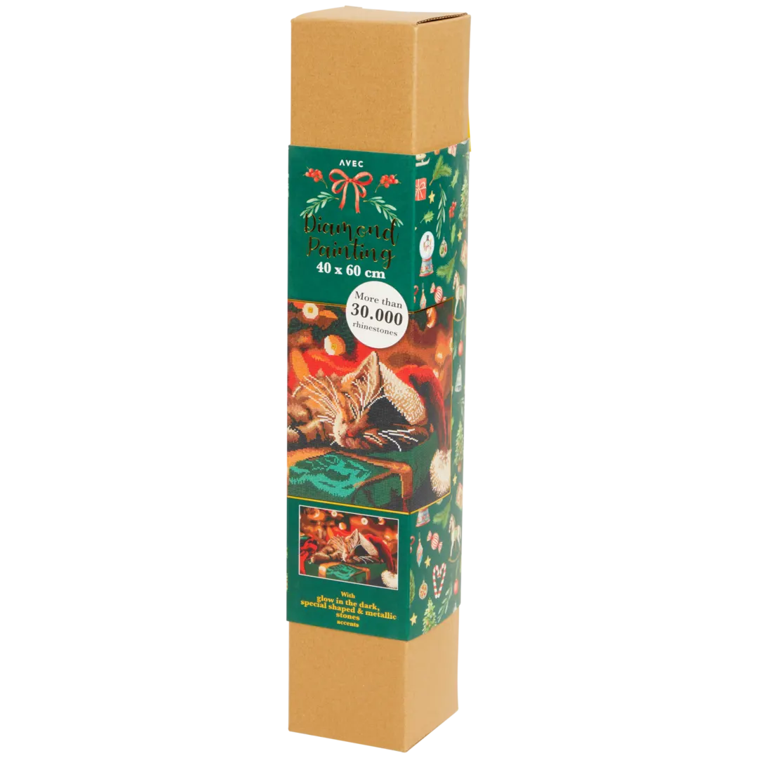 Broderie diamant de Noël Avec