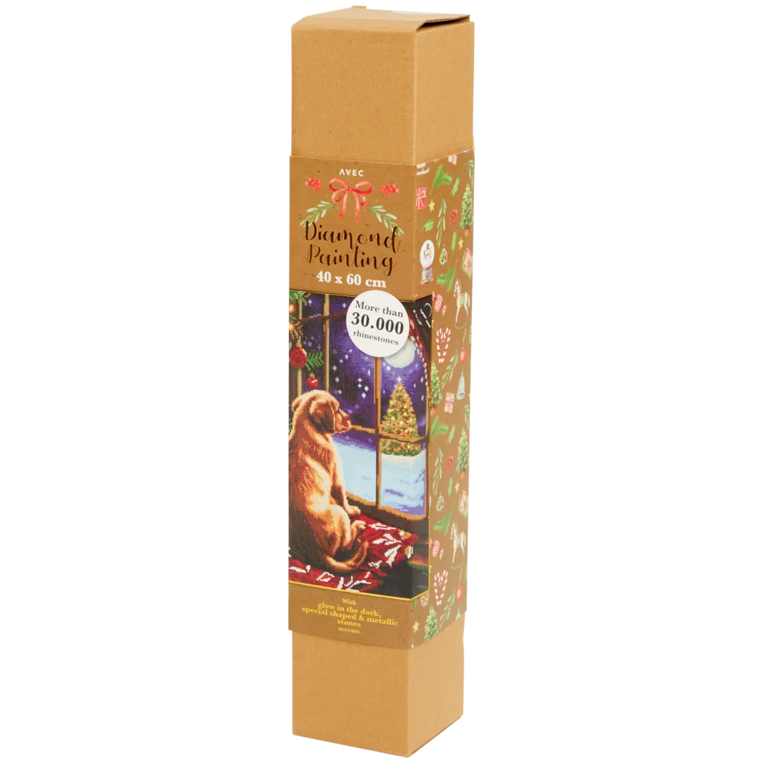 Broderie diamant de Noël Avec