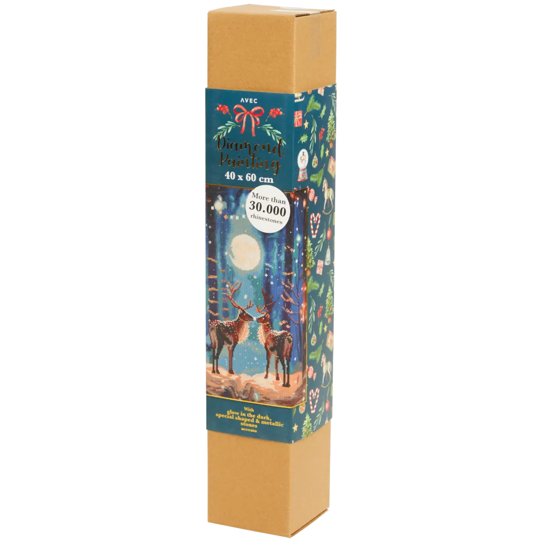 Broderie diamant de Noël Avec