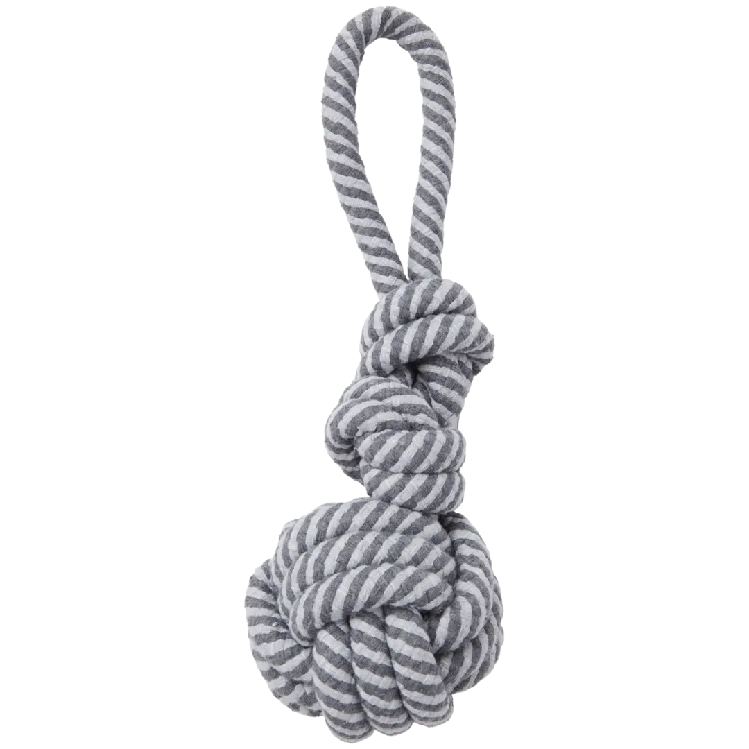 Brinquedo para cães Beasty