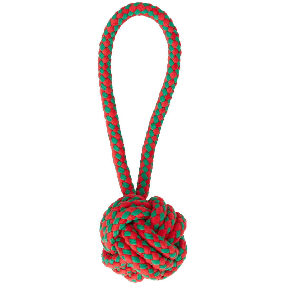 Kerst hondenspeelgoed