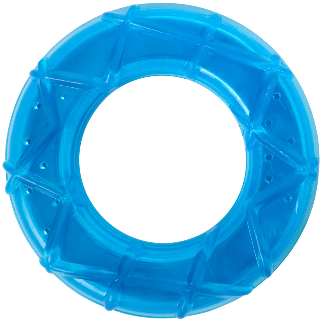 Jouet rafraîchissant pour chien Beasty 1