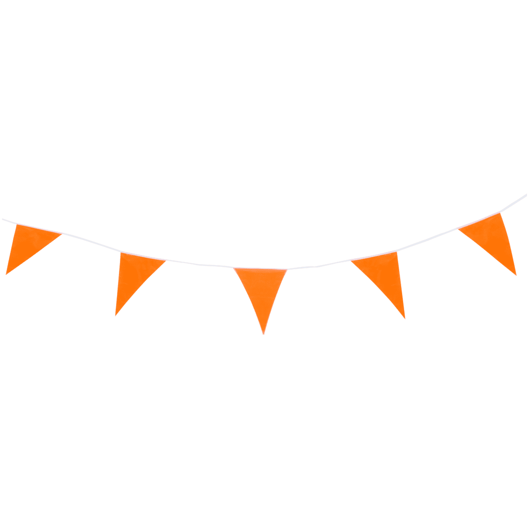 Cool2Party vlaggenlijn 1