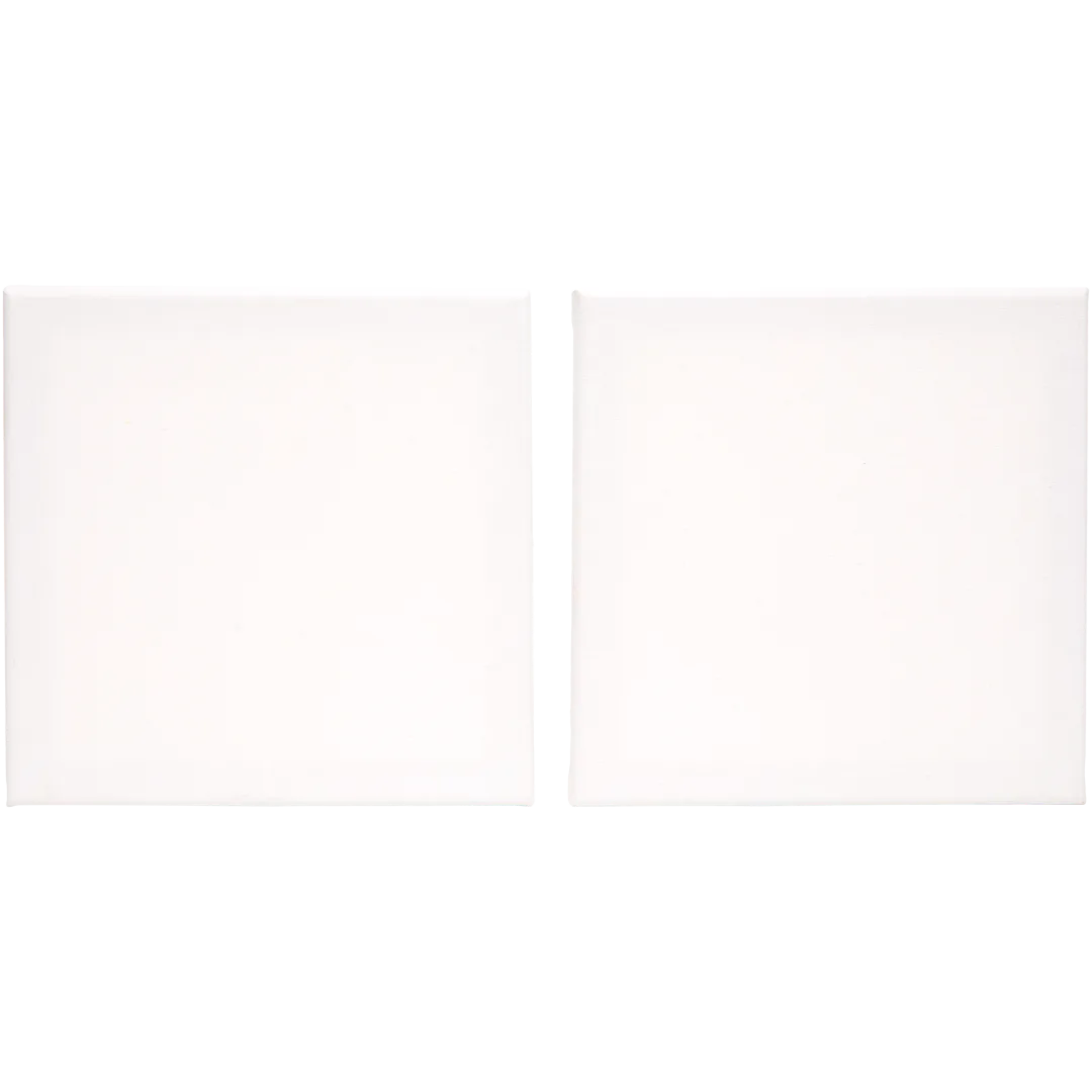 Toiles à peindre Van Bleiswijck