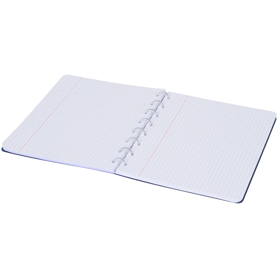Quaderno ad anelli A5  2