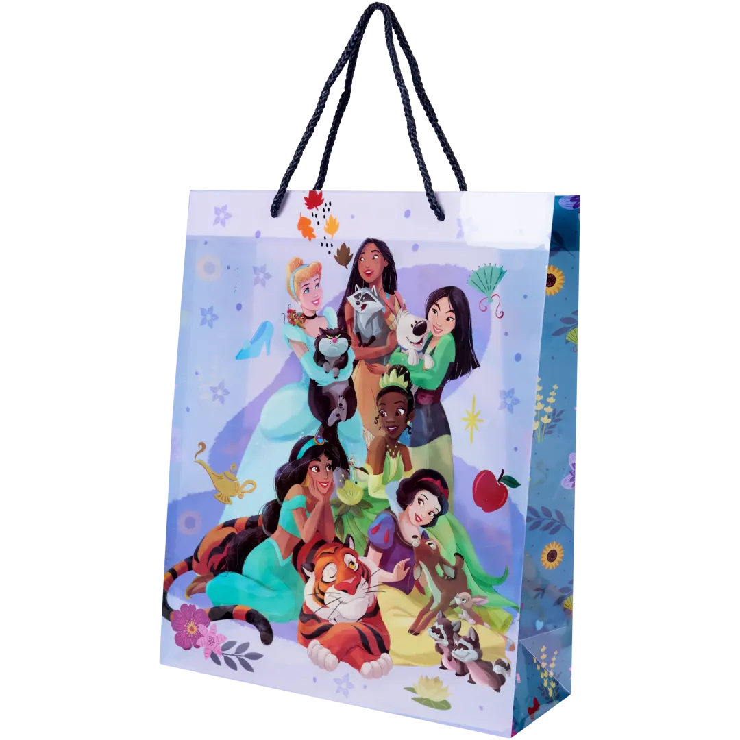 Sac cadeau