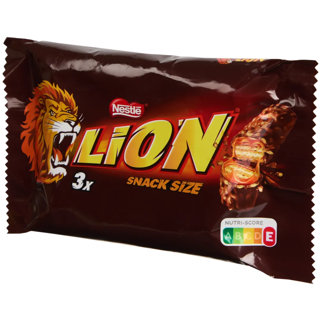 Lion 1