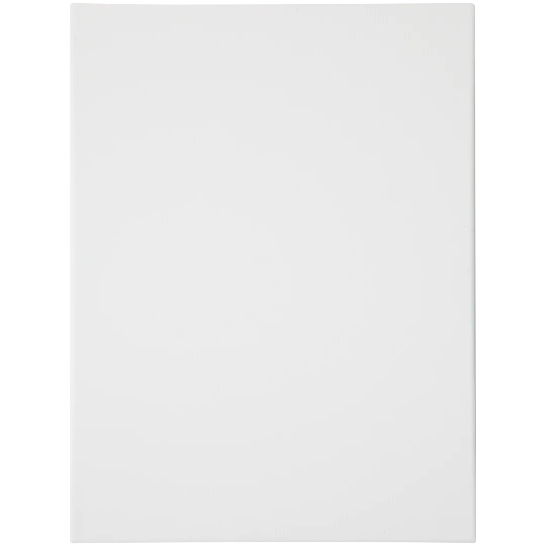 Tela per dipingere Van Bleiswijck 1