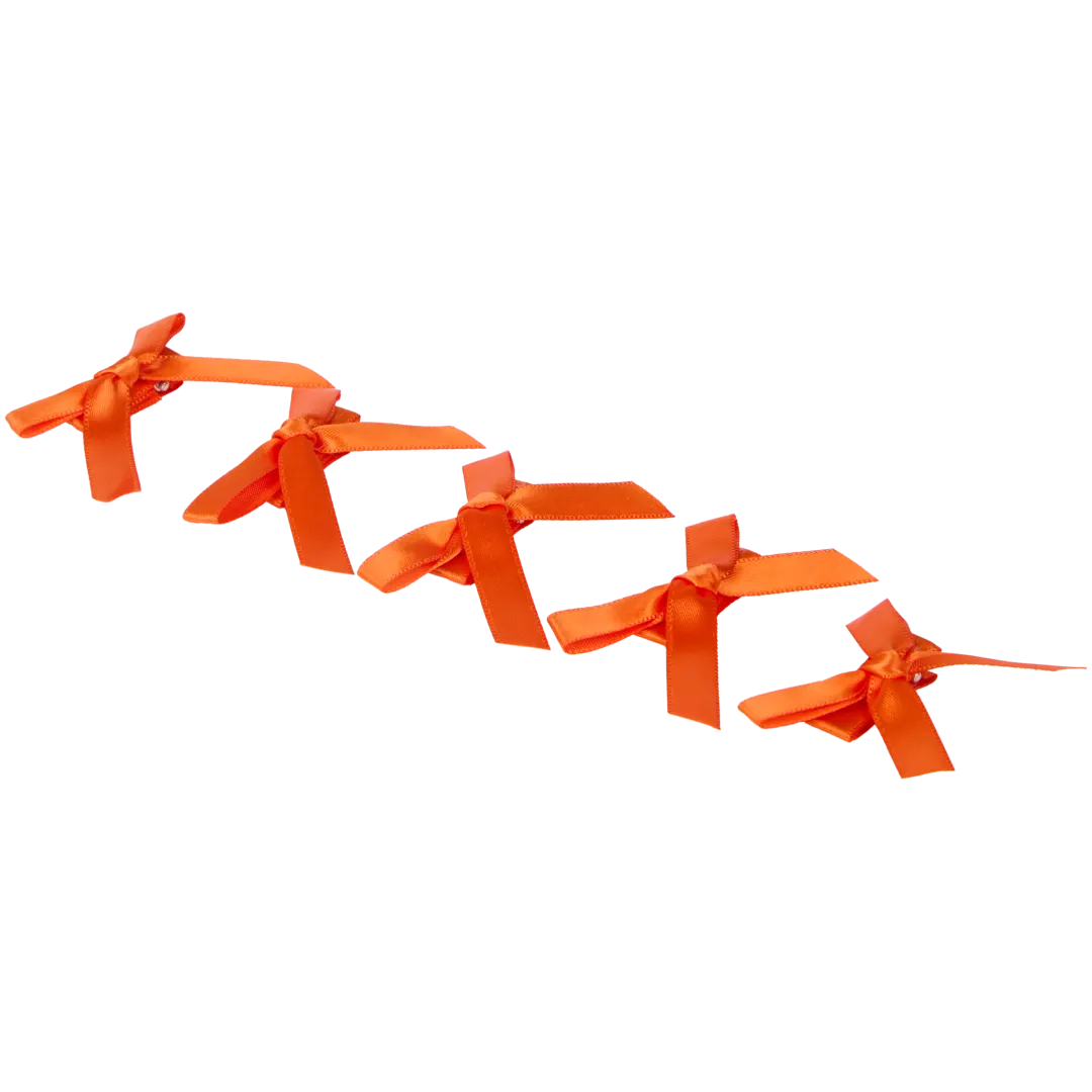 Oranje haaraccessoires 3