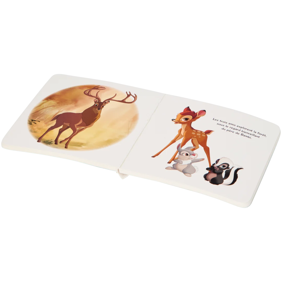 Livres de lecture Disney 2