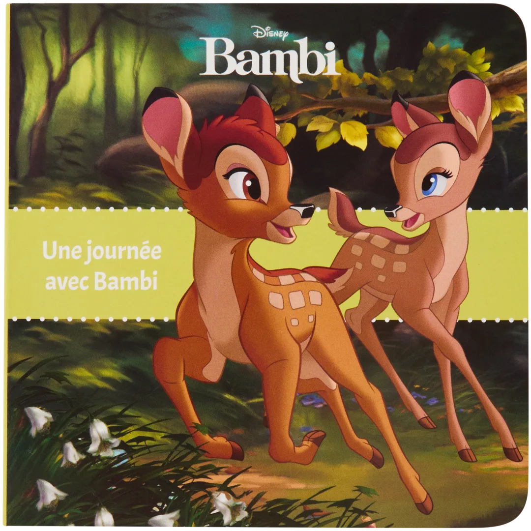 Livres de lecture Disney 1