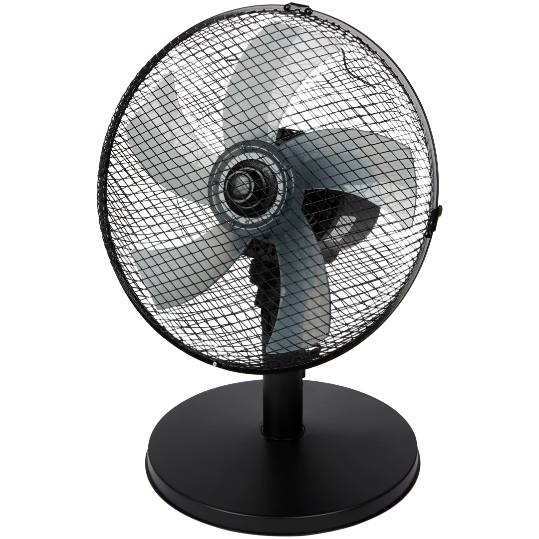 Ventilatore da tavolo Kinzo 1