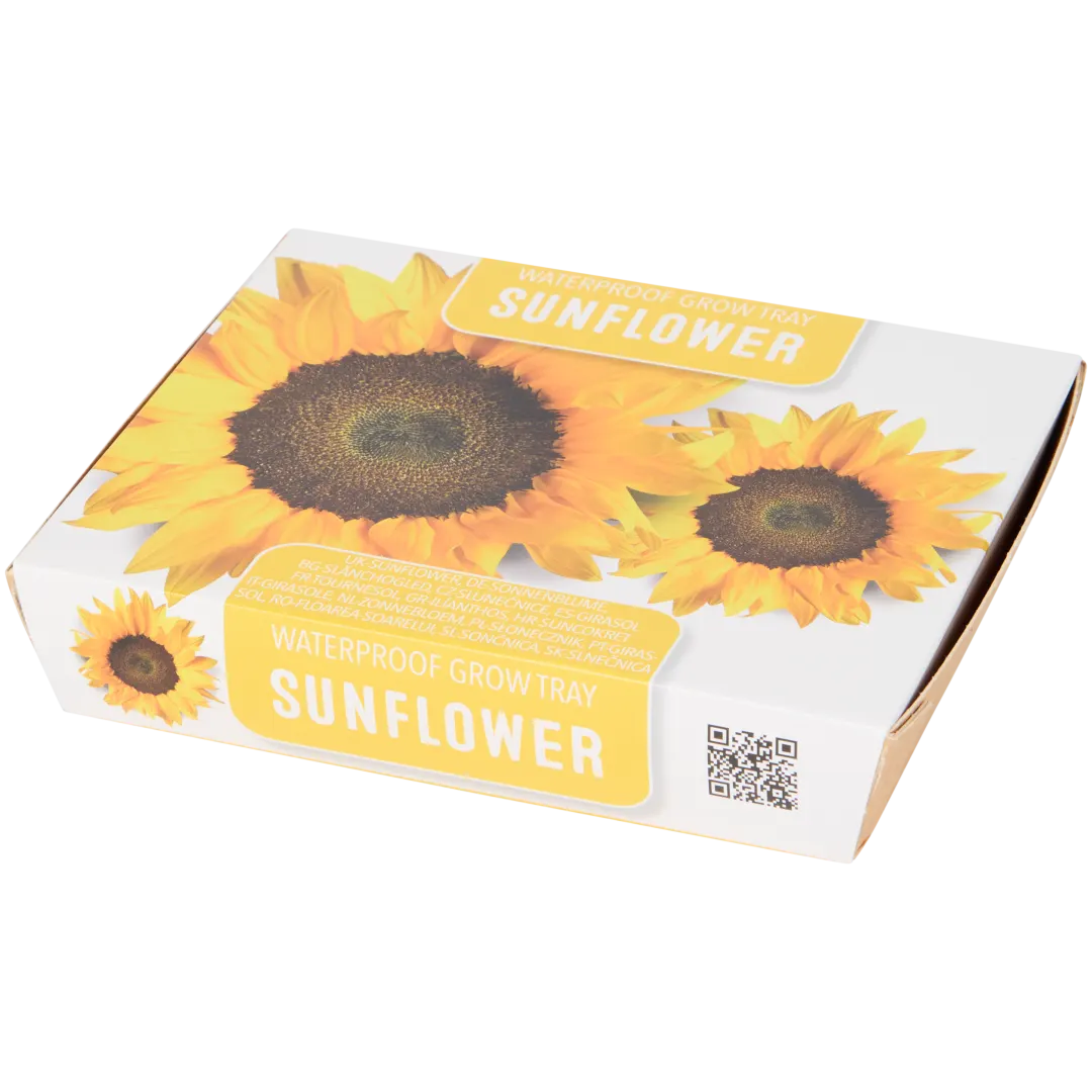 Kit de cultivo pequeño 3