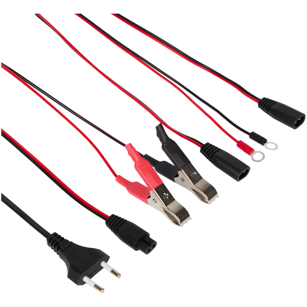 Caricabatterie Dunlop