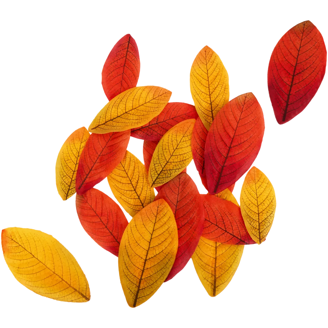 Herbstblätter