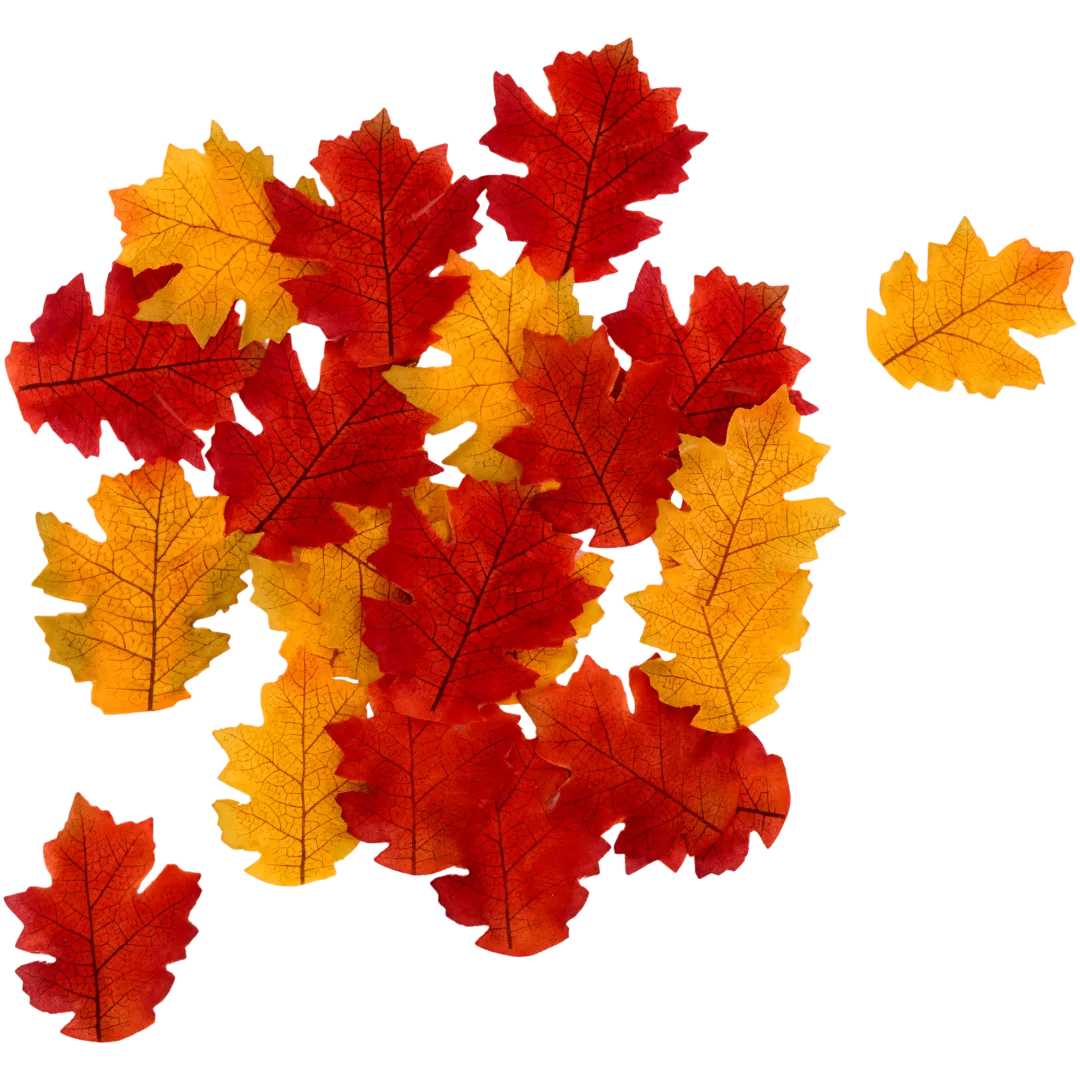Herbstblätter