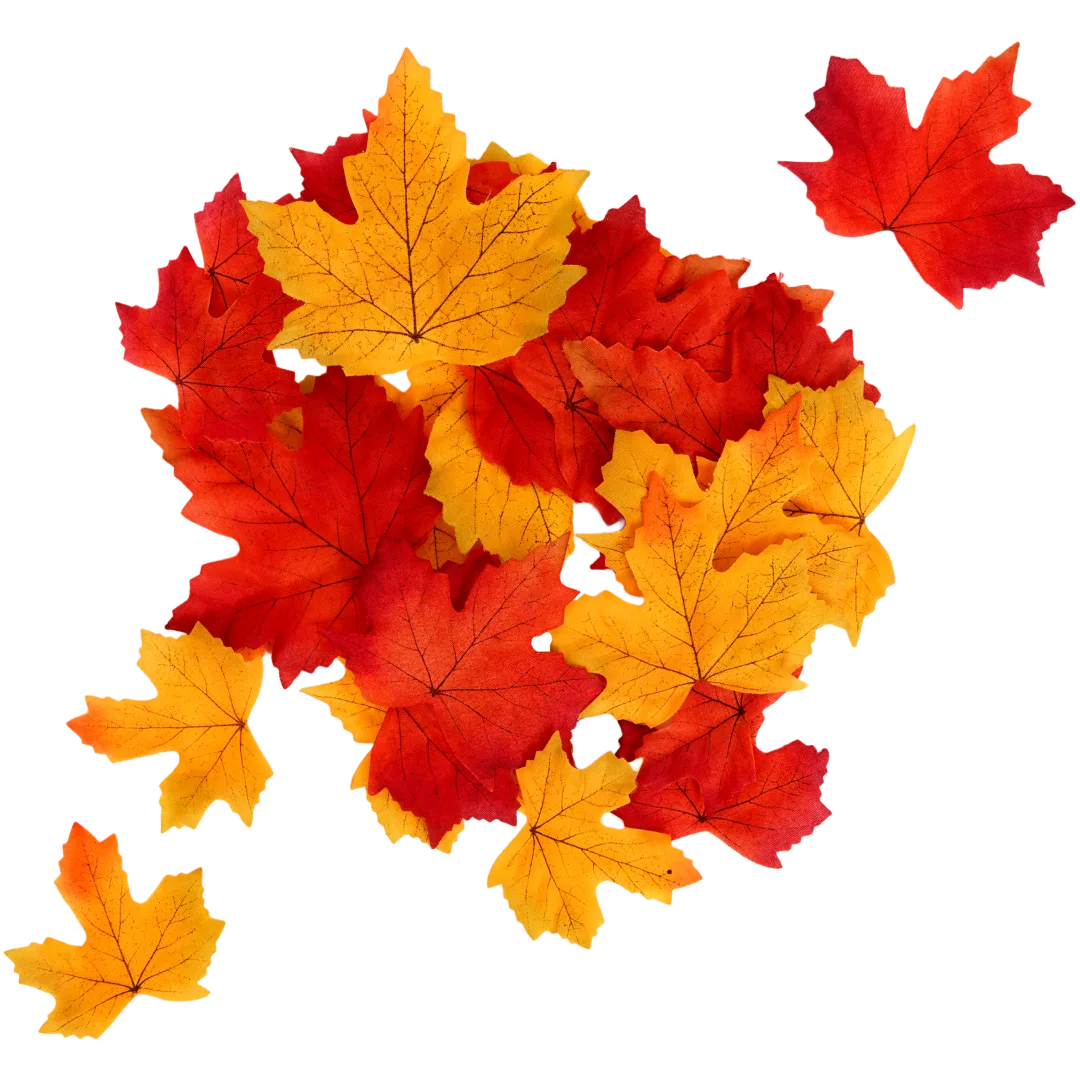 Herbstblätter