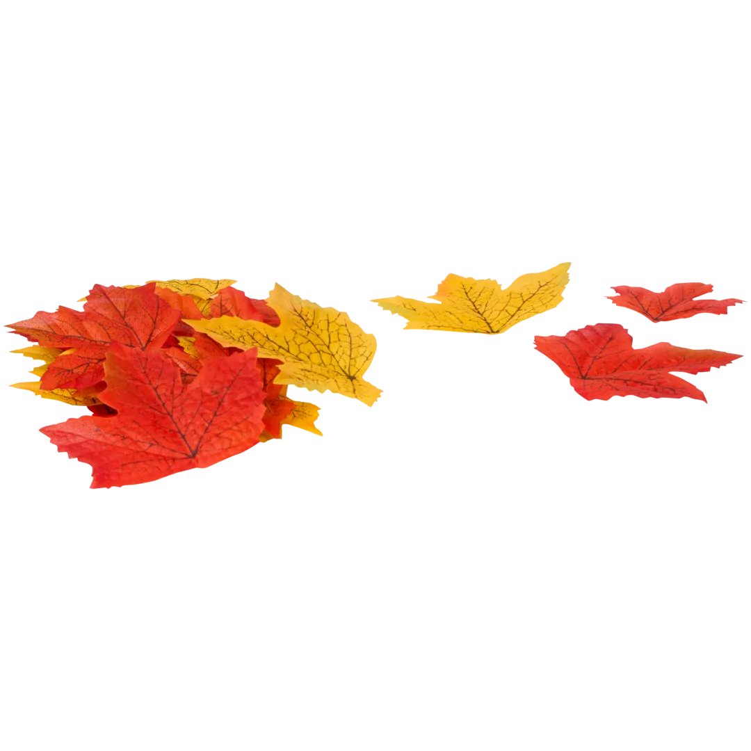 Feuilles d'automne