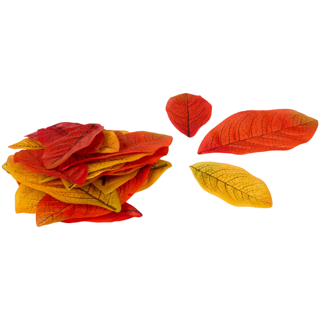 Feuilles d'automne